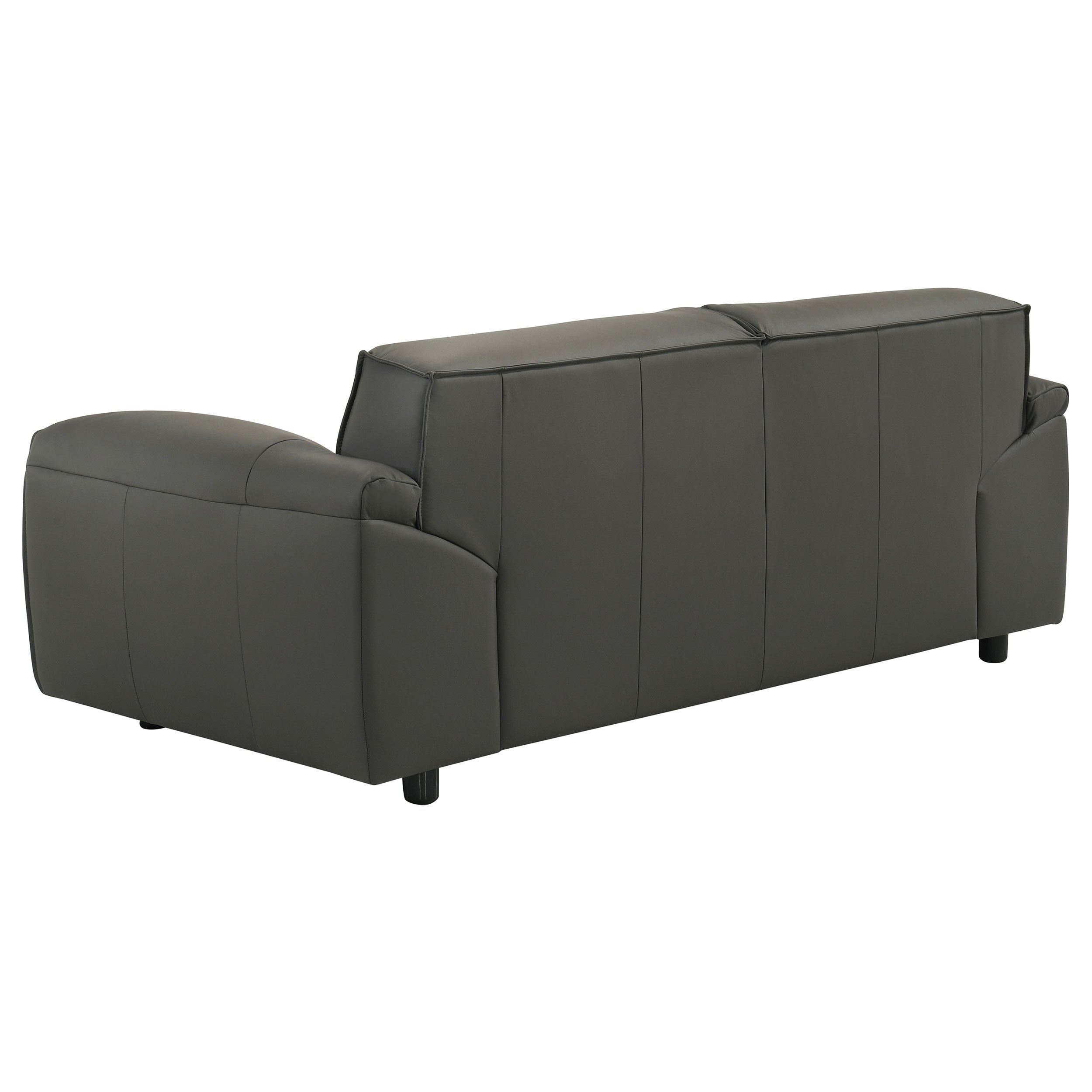 Buxton Leather Upholstered Sofa Set