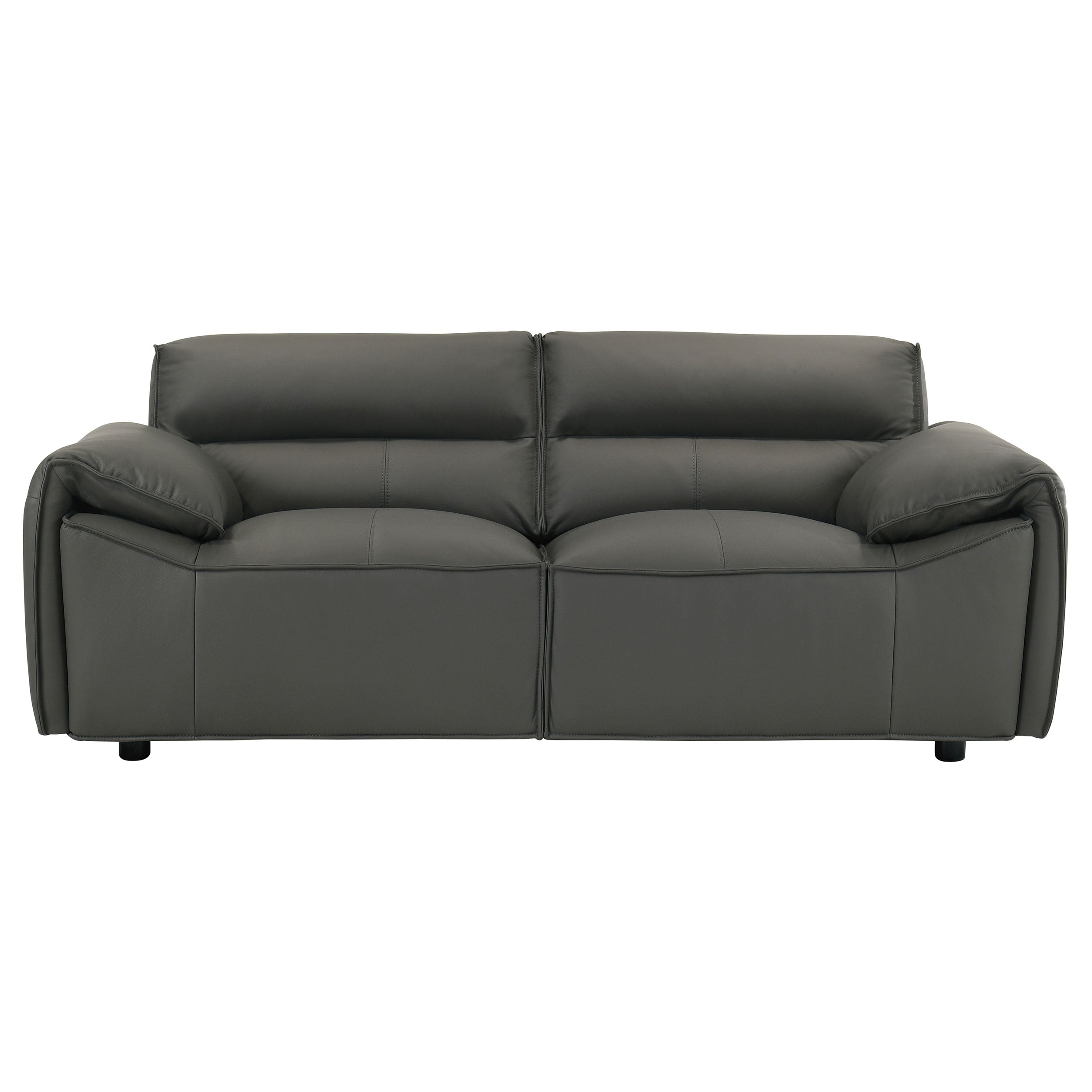 Buxton Top Grain Leather Upholstered Loveseat