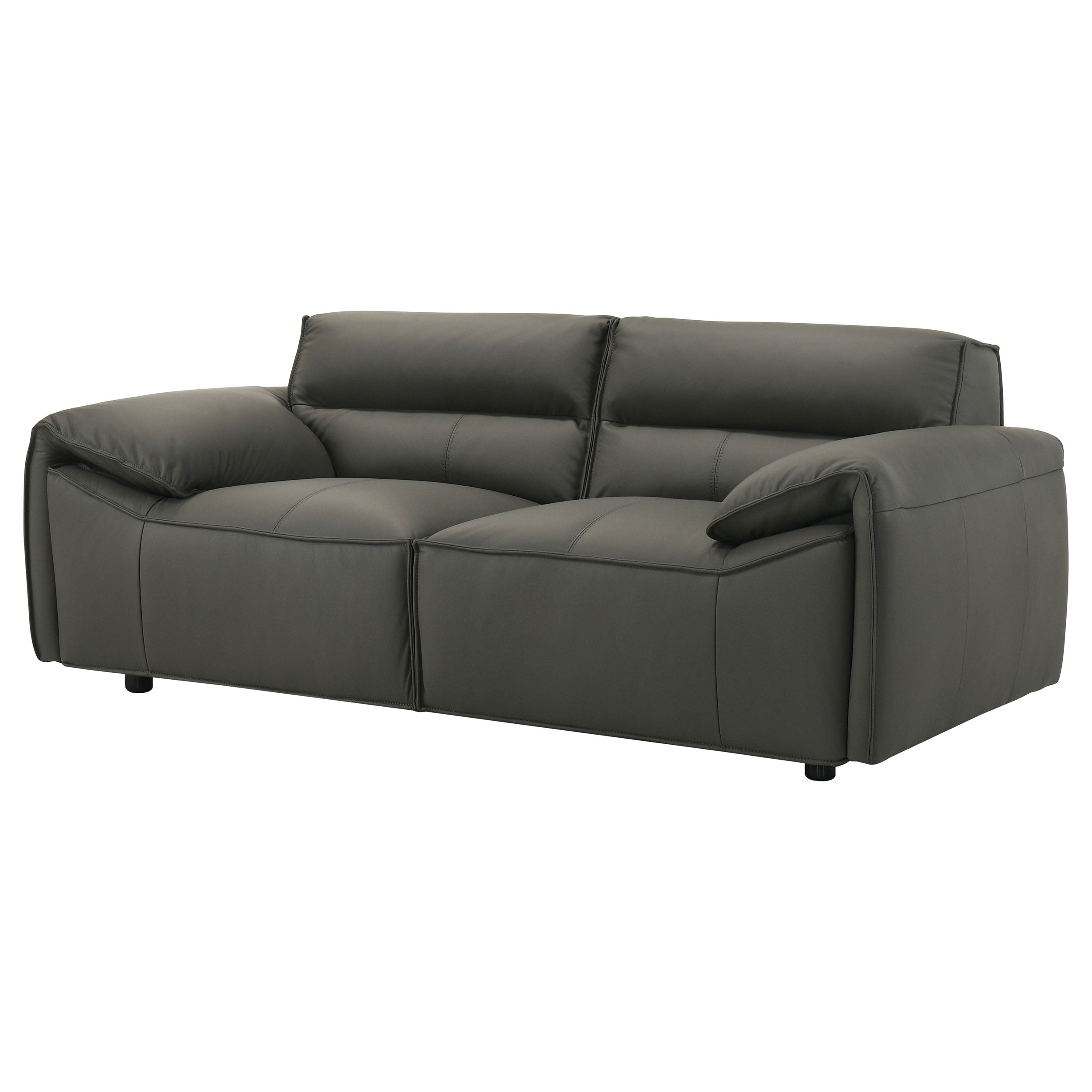 Buxton Top Grain Leather Upholstered Loveseat