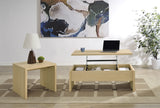 Canoga Engineered Wood Accent Side End Table