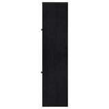 Denison 67-inch 2-door Media Tower Storage Cabinet Black