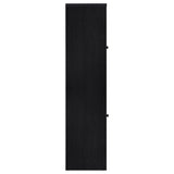 Denison 67-inch 2-door Media Tower Storage Cabinet Black