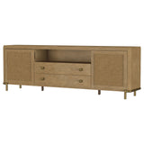 Arini Rattan Cane 2-door TV Stand Media Console