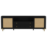 Arini Rattan Cane 2-door TV Stand Media Console
