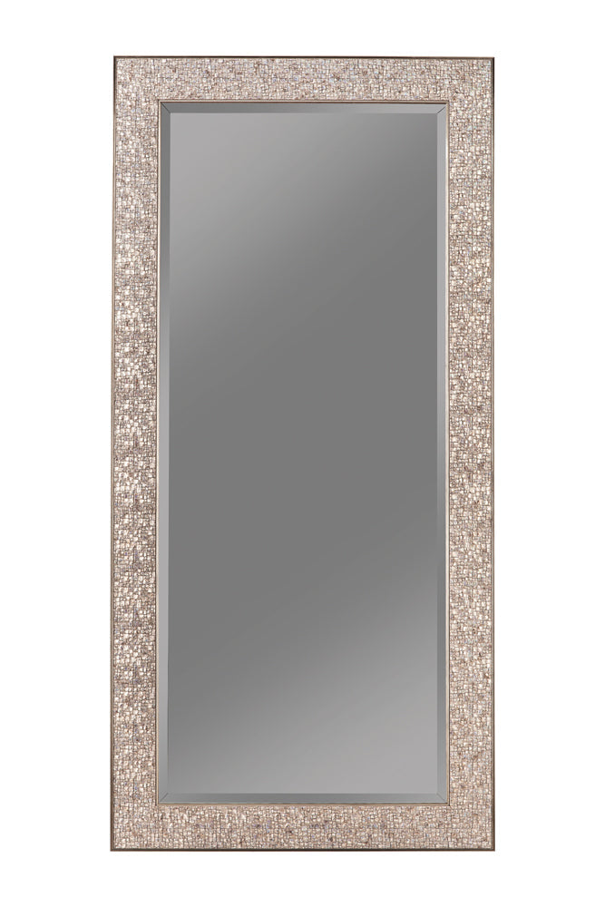 Rollins 32 x 66 Inch Rectangular Floor Mirror