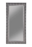 Rollins 32 x 66 Inch Rectangular Floor Mirror