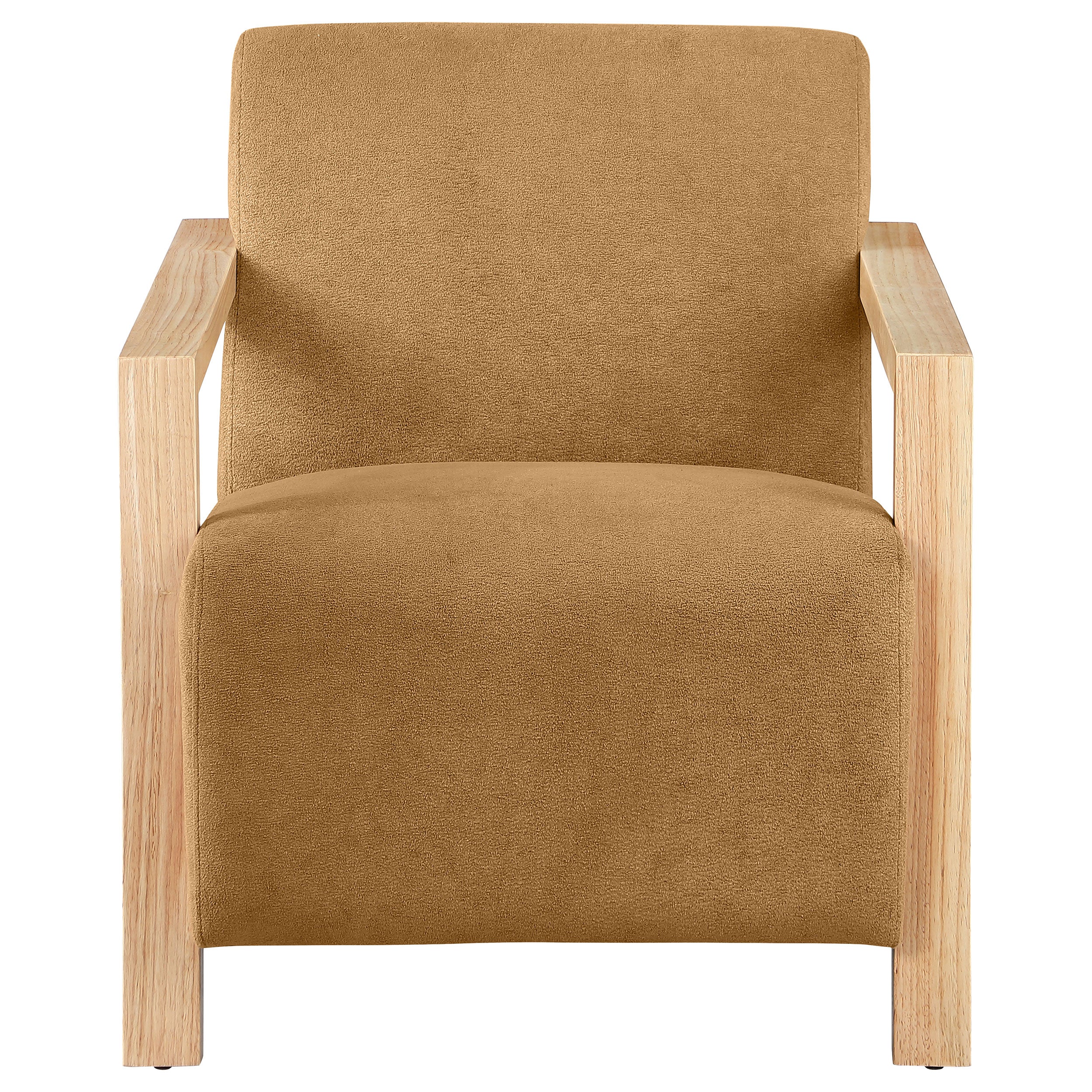 Diego Upholstered Accent Arm Chair with Wood Arms