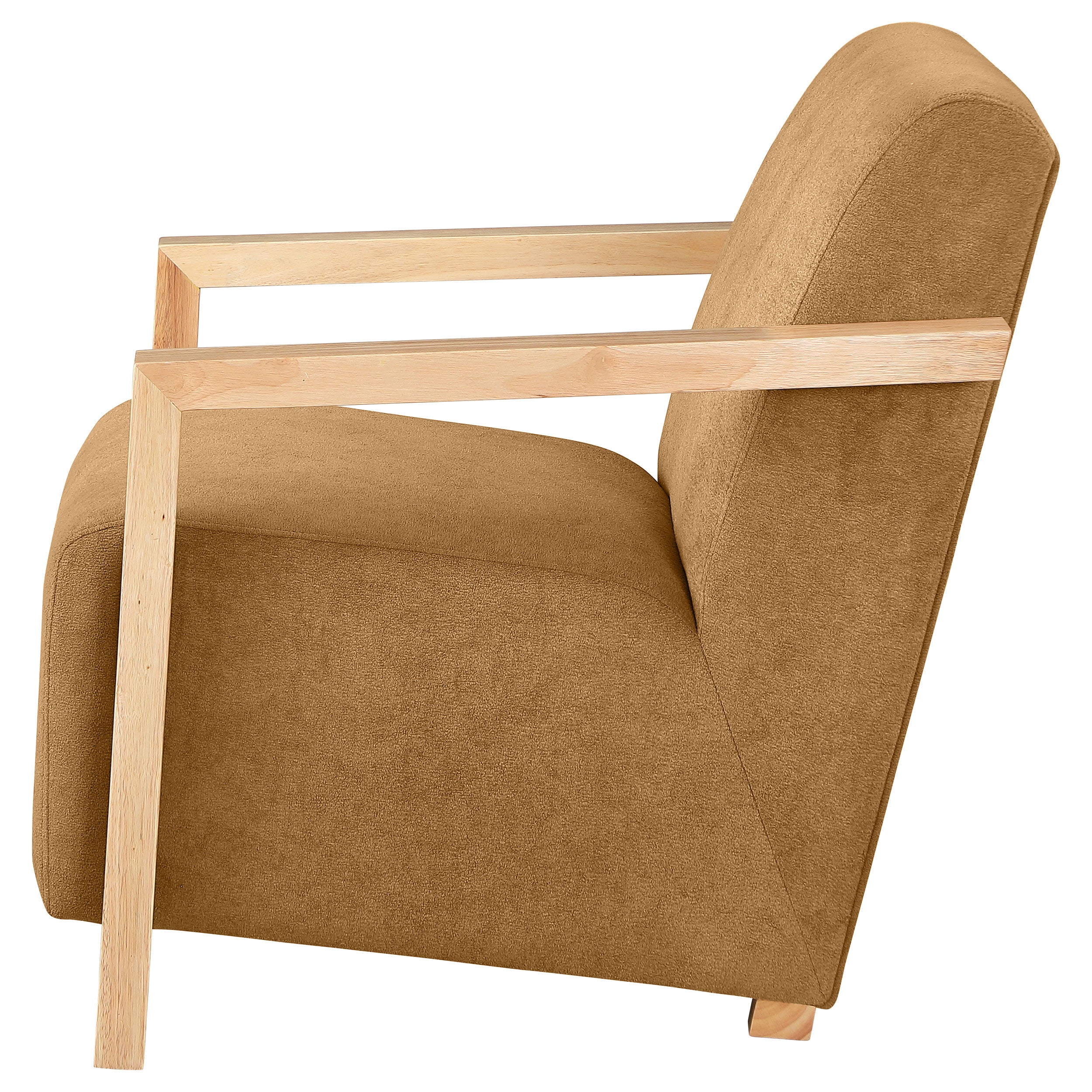 Diego Upholstered Accent Arm Chair with Wood Arms