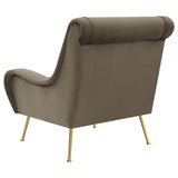 Ricci Upholstered Arm Accent Chair