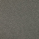 Valdez Boucle Upholstered Back Accent Chair