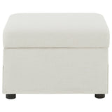 Winter Upholstered Hydraulic Lift Top Storage Ottoman