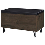 Brixton 2-door Padded Entryway Shoe Storage Bench