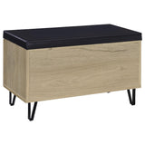 Brixton 2-door Padded Entryway Shoe Storage Bench