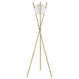 Yamileth 65-inch Spherical Bulb Metal Tripod Floor Lamp Gold