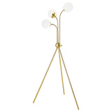 Miley 66-inch Spherical Bulb Tripod Tree Floor Lamp Gold