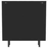 Dalia 2-door Accent Storage Cabinet with Shelving Black