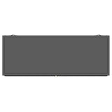 Dalia 2-door Accent Storage Cabinet with Shelving Black