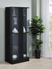 Black High Gloss