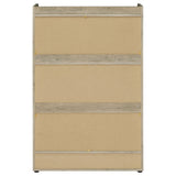 Denia 3-tier Engineered Wood Shoe Cabinet