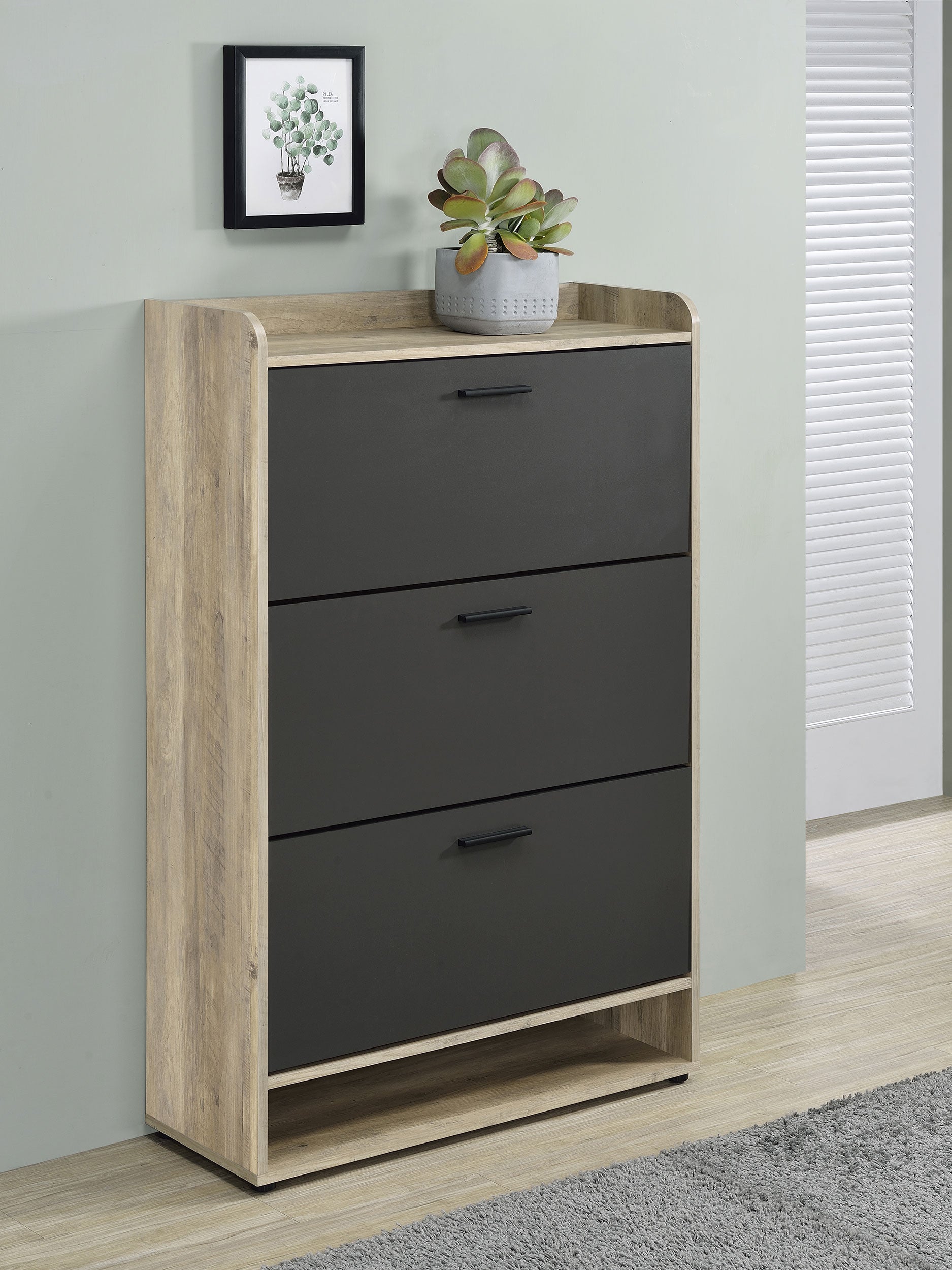 Denia 3-tier Engineered Wood Shoe Cabinet