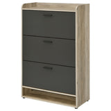 Denia 3-tier Engineered Wood Shoe Cabinet