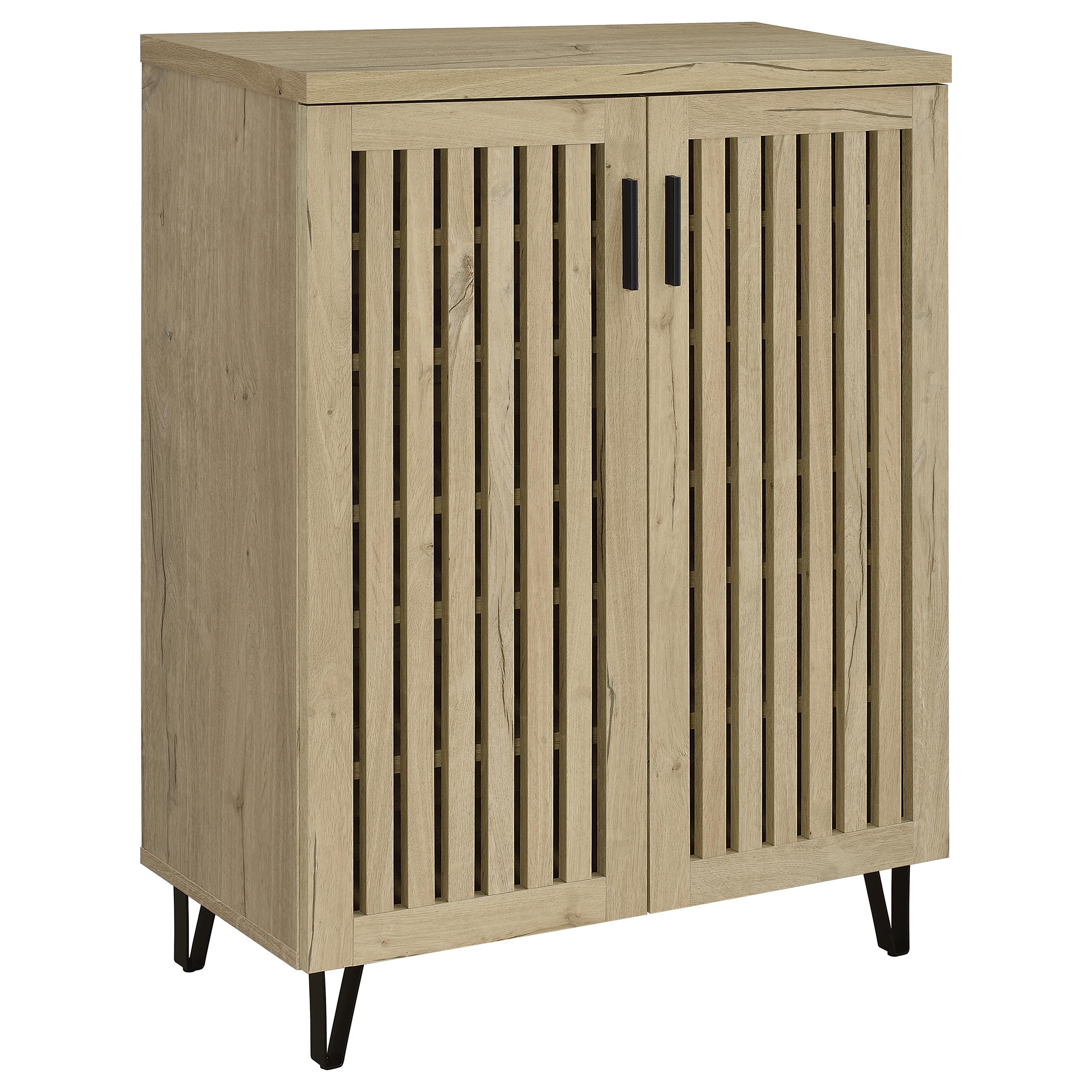 Brixton 2-door Entryway Shoe Storage Cabinets