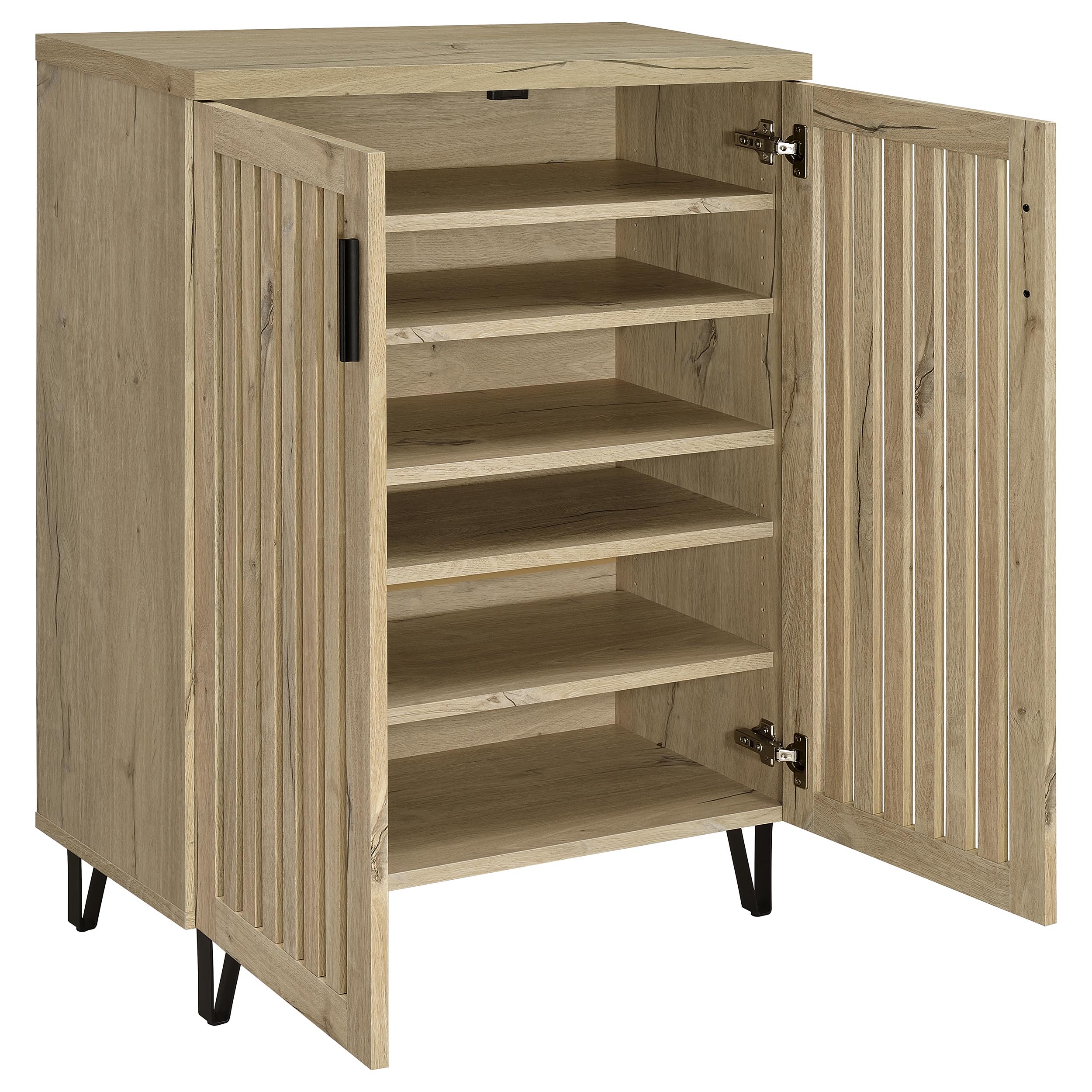 Brixton 2-door Entryway Shoe Storage Cabinets