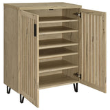 Brixton 2-door Entryway Shoe Storage Cabinets