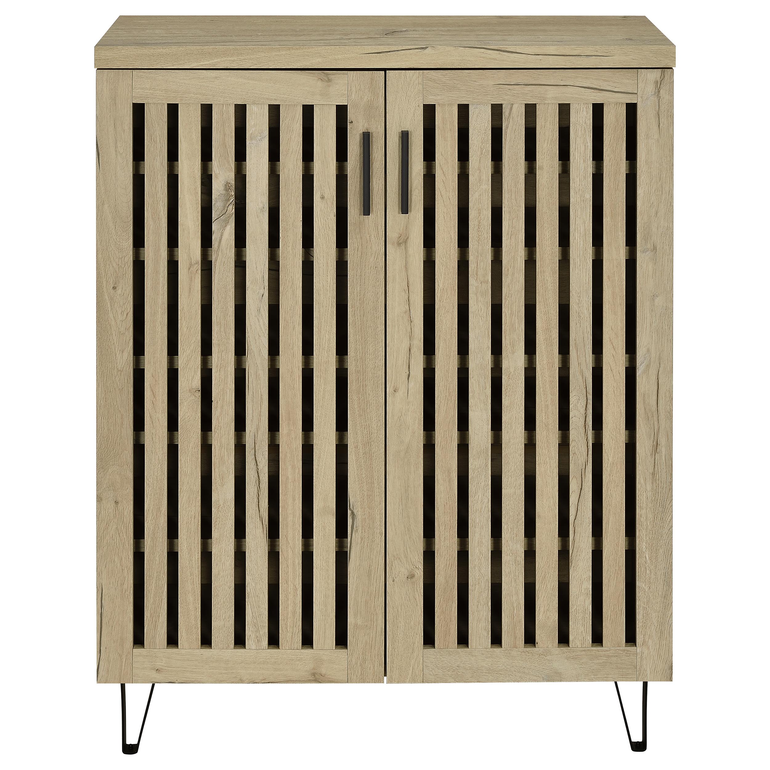Brixton 2-door Entryway Shoe Storage Cabinets