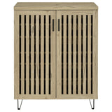 Brixton 2-door Entryway Shoe Storage Cabinets
