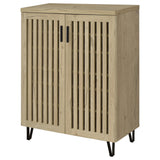 Brixton 2-door Entryway Shoe Storage Cabinets