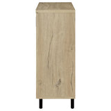Brixton 2-door Entryway Shoe Storage Cabinets