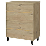 Brixton 2-door Entryway Shoe Storage Cabinets