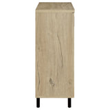 Brixton 2-door Entryway Shoe Storage Cabinets