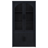 Riva 4-door Tall Accent Display Cabinet LED Lighting Black