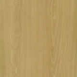 Edwards 4-Panel Room Divider Folding Shoji Screen Natural