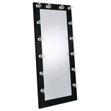 Zayan 32 x 71 Inch Floor Mirror LED ing Gloss