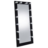 Zayan 32 x 71 Inch Floor Mirror LED ing Gloss