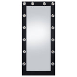 Zayan 32 x 71 Inch Floor Mirror LED ing Gloss