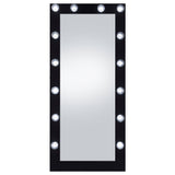 Zayan 32 x 71 Inch Floor Mirror LED ing Gloss