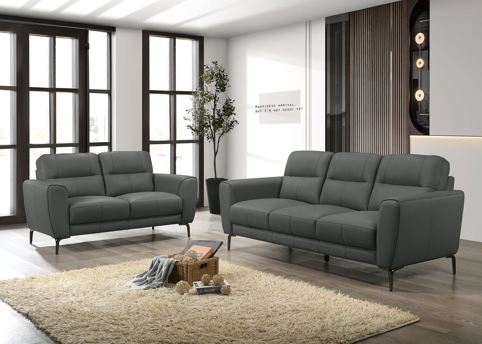 2-Piece Sofa Set (Anthracite Grayfull Leather﻿) - F8419