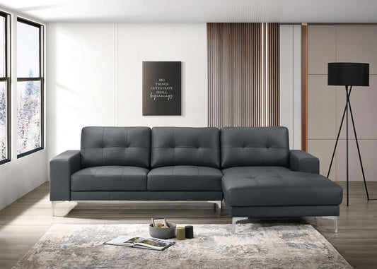 2-Piece Sectional Sofa (Blackfull Leather) - F8423