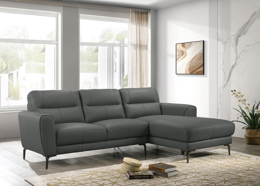 2-Piece Sectional Sofa (Anthracitefull Leather) - F8425