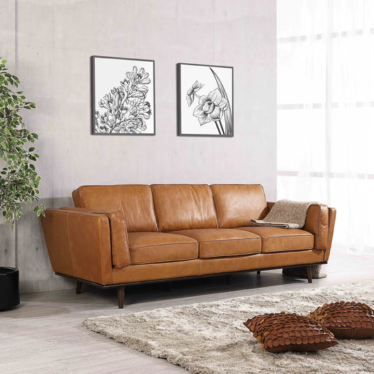 Anora Furniture Store 