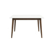 Levi Modern Style Solid Wood Rectangular White Top Dining Table 47"