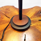 Cosmiclume Black Umbrella Shaped Table Lamp - Walnut - Bronze